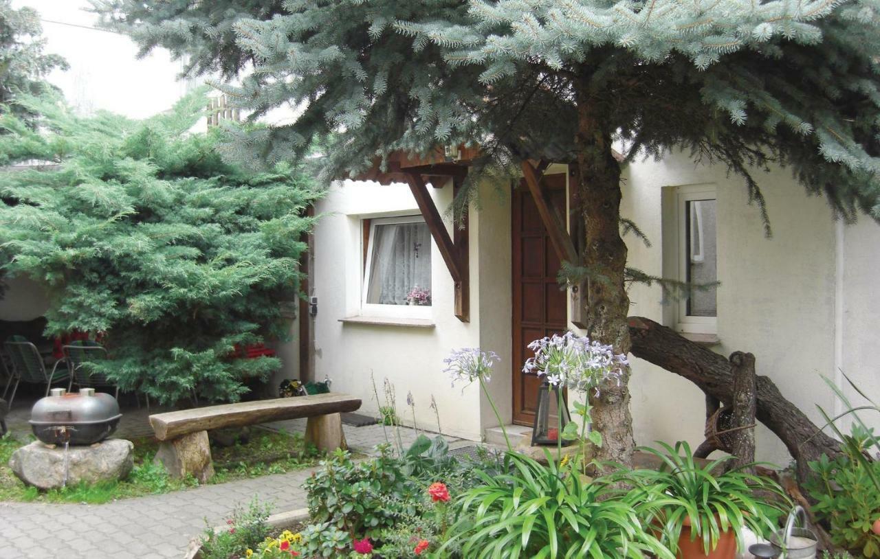 Lovely Home In Heideblick With Kitchen Langengrassau Екстериор снимка